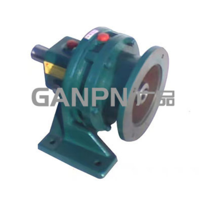 Cycloidal pin wheel reducer